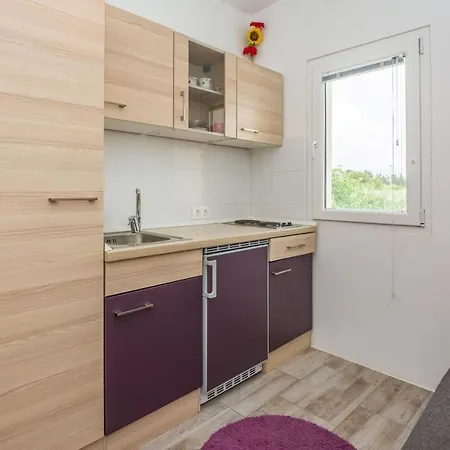 Daire Ivanusevic Vir