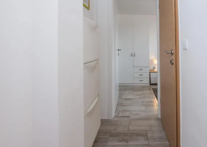 Ivanusevic * ヴィル